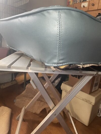 IMG_6788.jpeg IMG_6788.jpeg