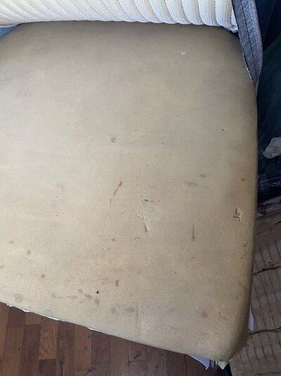 IMG_6711.jpeg IMG_6711.jpeg