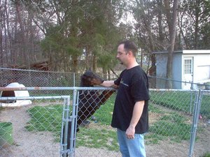 Bud 007.jpg Bud 007.jpg