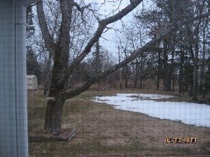 IMG_0820 Small Web view.jpg