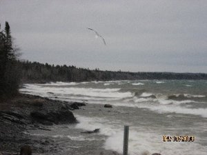 IMG_0826 Small Web view.jpg