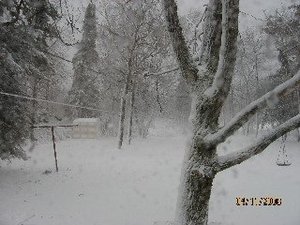 IMG_0828 Small Web view.jpg