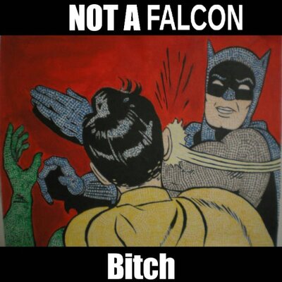 Falcon.jpg