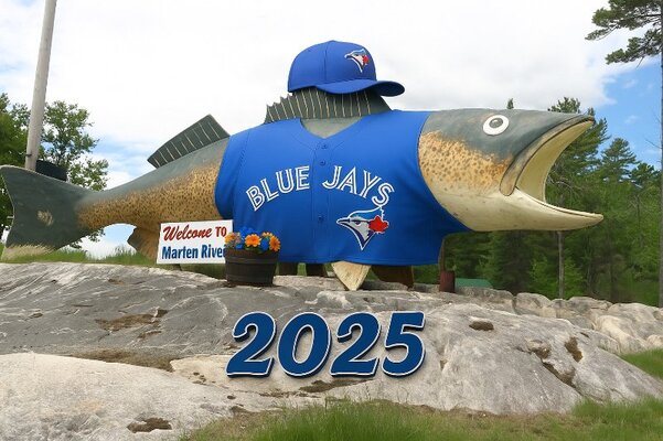 bigfishbluejays.jpg