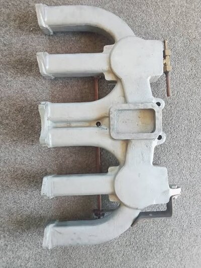 571430167_10242620754360754_1149567850046546239_n (1).jpg