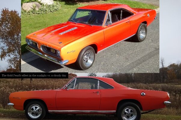 Barracuda - Gold Pearl Effect copy.jpg