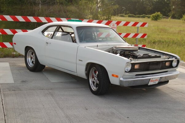 DSC_4615 (Large).JPG