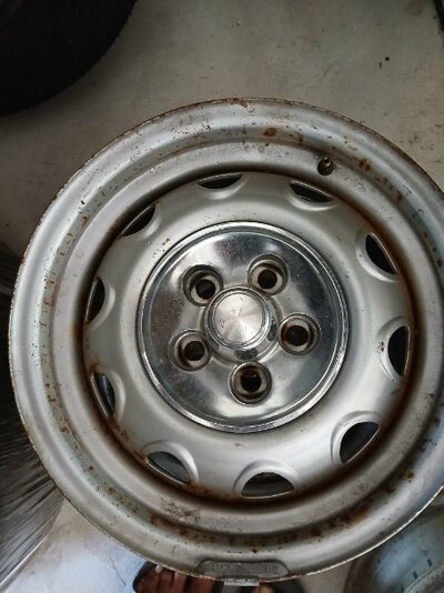 20250901_170253 (1).jpg