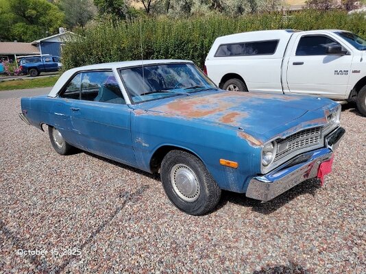 20251015_114217 (640x480).jpg