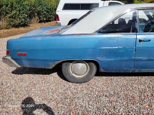 20251015_114238 (640x480).jpg