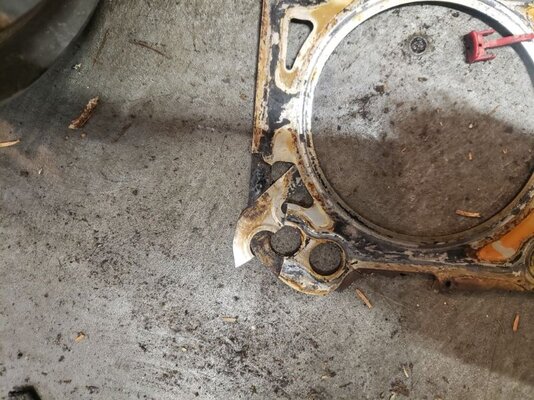 HEAD GASKET.jpg