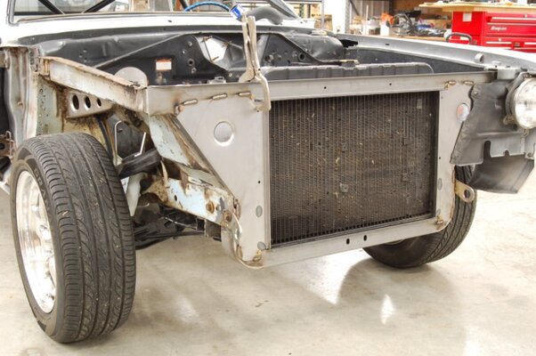 DSC_3135 (Large).JPG