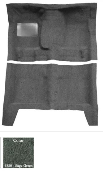 Wrong Color Carpet.JPG