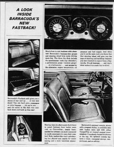 cudapic1 Medium Web view.jpg