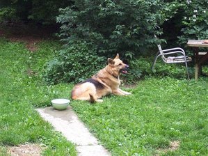 conner june 08.jpg conner june 08.jpg