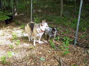 meketa.turbo.jpg meketa.turbo.jpg