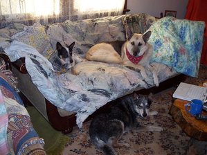 turbomeketapetey.jpg turbomeketapetey.jpg