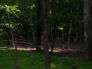 Lost River 08 131.jpg