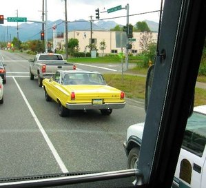 IMG_1032 Medium Web view.jpg