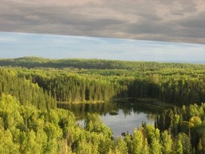 IMG_1049 Medium Web view.jpg