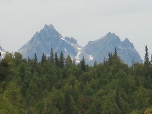 IMG_1108 Medium Web view.jpg