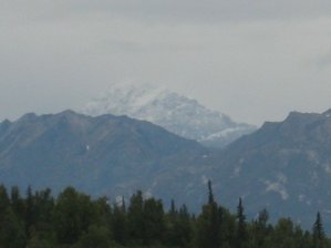 IMG_1110 Medium Web view.jpg