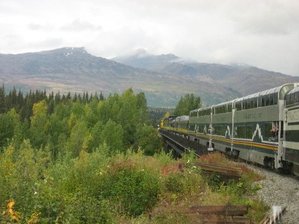 IMG_1151 Medium Web view.jpg