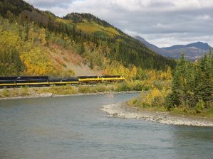 IMG_1194 Medium Web view.jpg