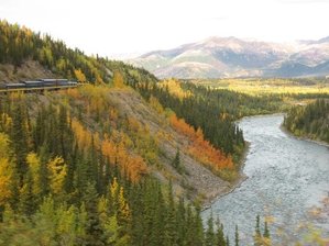 IMG_1197 Medium Web view.jpg