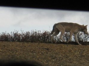 IMG_1218 Medium Web view.jpg