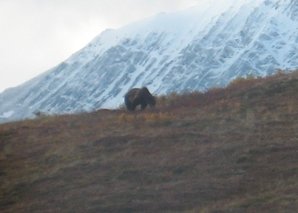 IMG_1221 Medium Web view.jpg