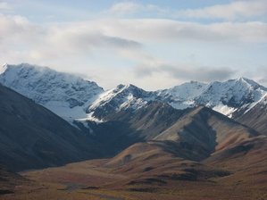 IMG_1234 Medium Web view.jpg