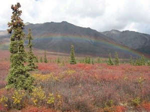 IMG_1255 Medium Web view.jpg