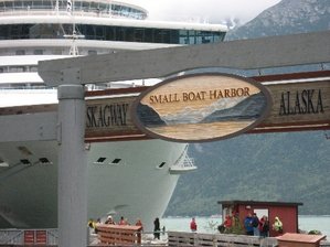 IMG_1414 Medium Web view.jpg