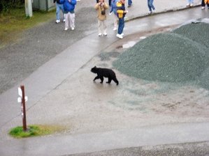 IMG_1459 Medium Web view.jpg