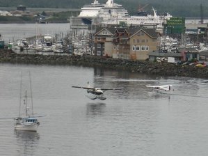 IMG_1504 Medium Web view.jpg