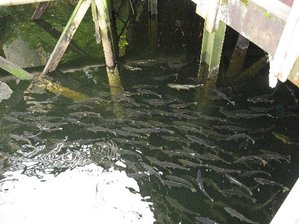 IMG_1526 Medium Web view.jpg