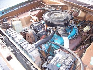 100_3472.jpg 100_3472.jpg