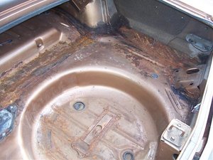 100_3485.jpg 100_3485.jpg