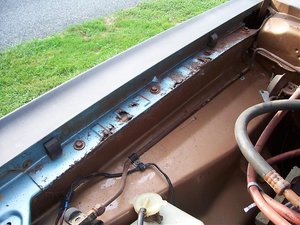 100_3494.jpg 100_3494.jpg