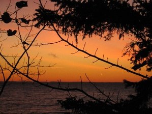 IMG_1654 Medium Web view.jpg