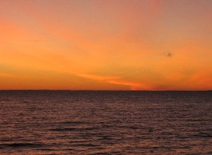 IMG_1658 Medium Web view.jpg