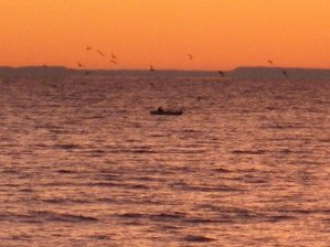 IMG_1661 Medium Web view.jpg