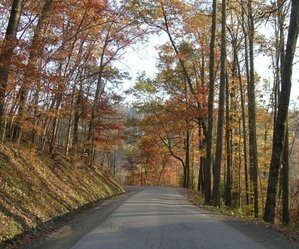 Peach Orchard Road 2.jpg