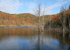 FAll 08 Almost gone6.jpg FAll 08 Almost gone6.jpg