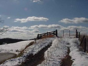 First snow.JPG First snow.JPG