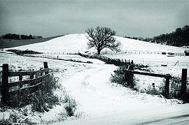FIELD TREE SNOW2008.jpg FIELD TREE SNOW2008.jpg