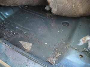 IMG_1557.JPG IMG_1557.JPG