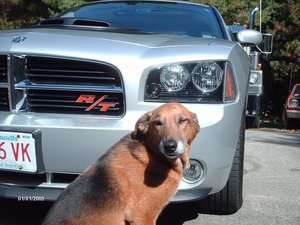 shadow.JPG shadow.JPG