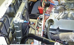 just adding more pics